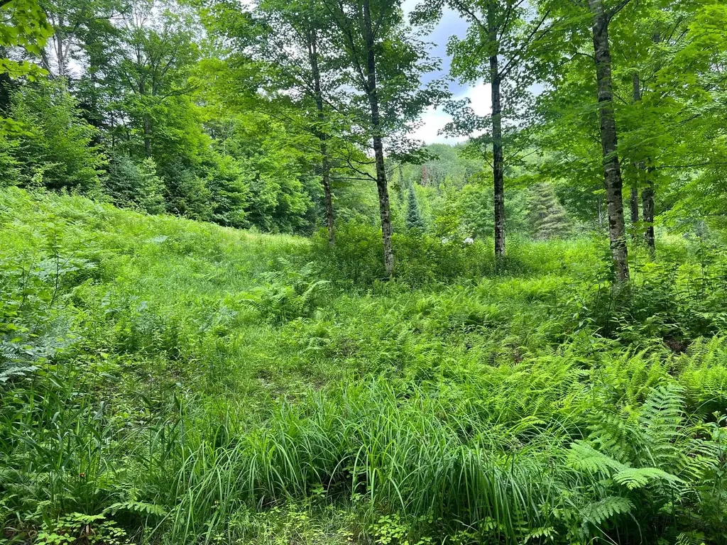 50 Town Farm Road Pittsburg NH 03592