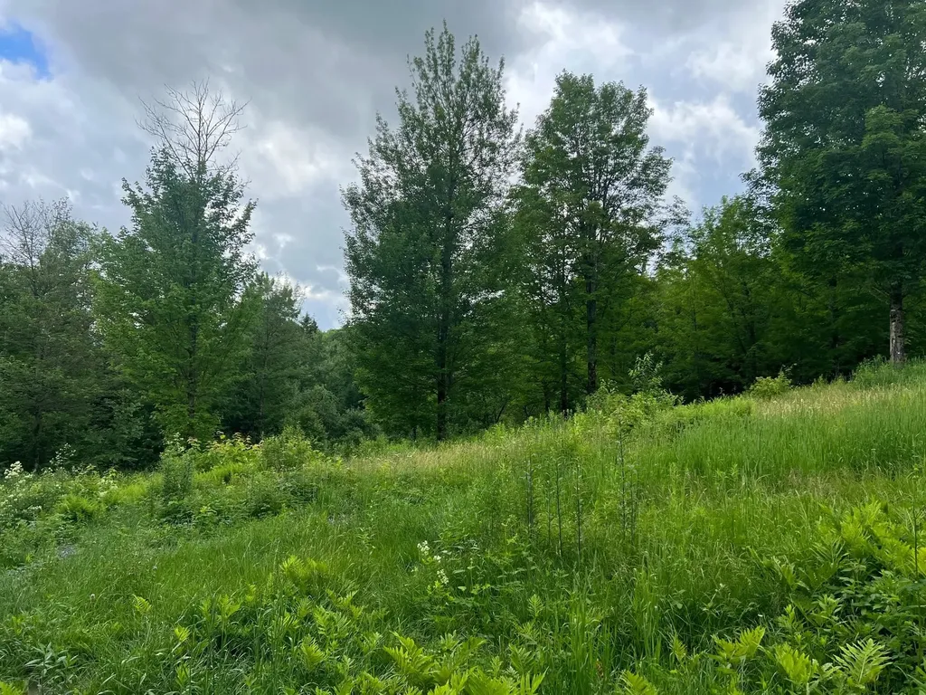 50 Town Farm Road Pittsburg NH 03592