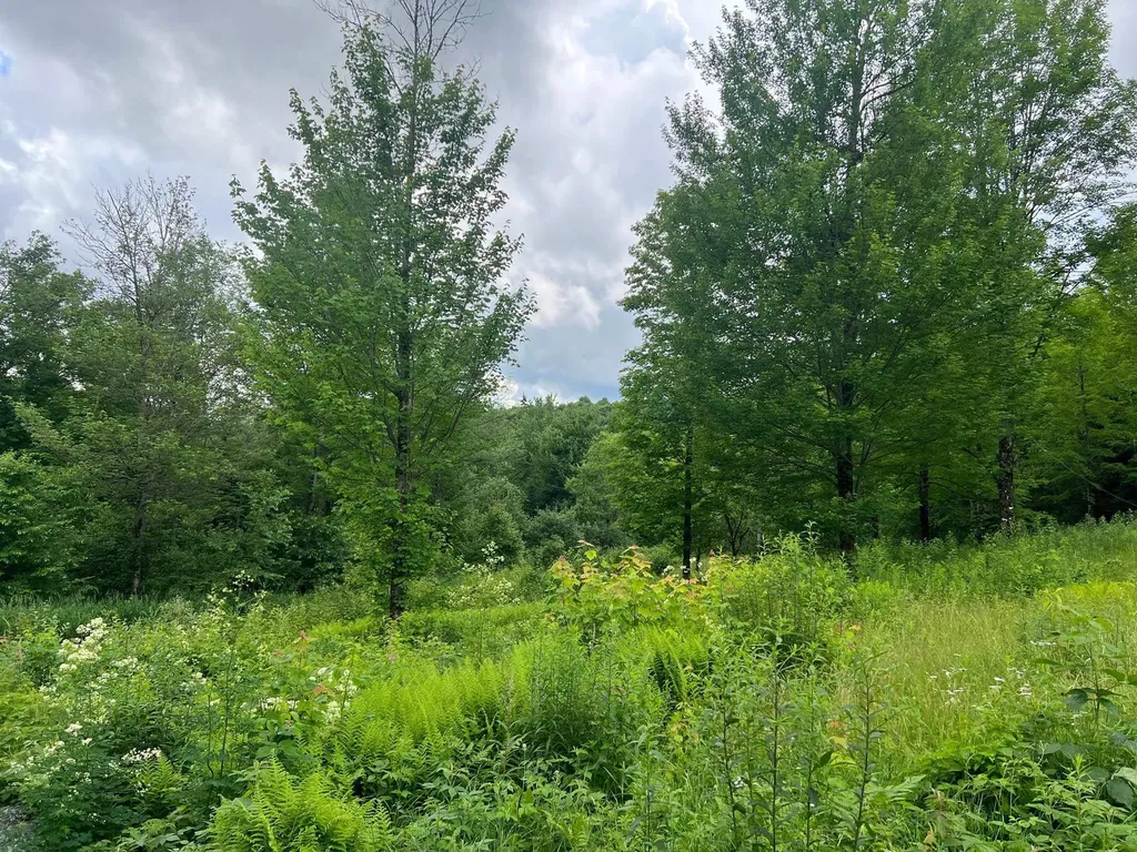 50 Town Farm Road Pittsburg NH 03592