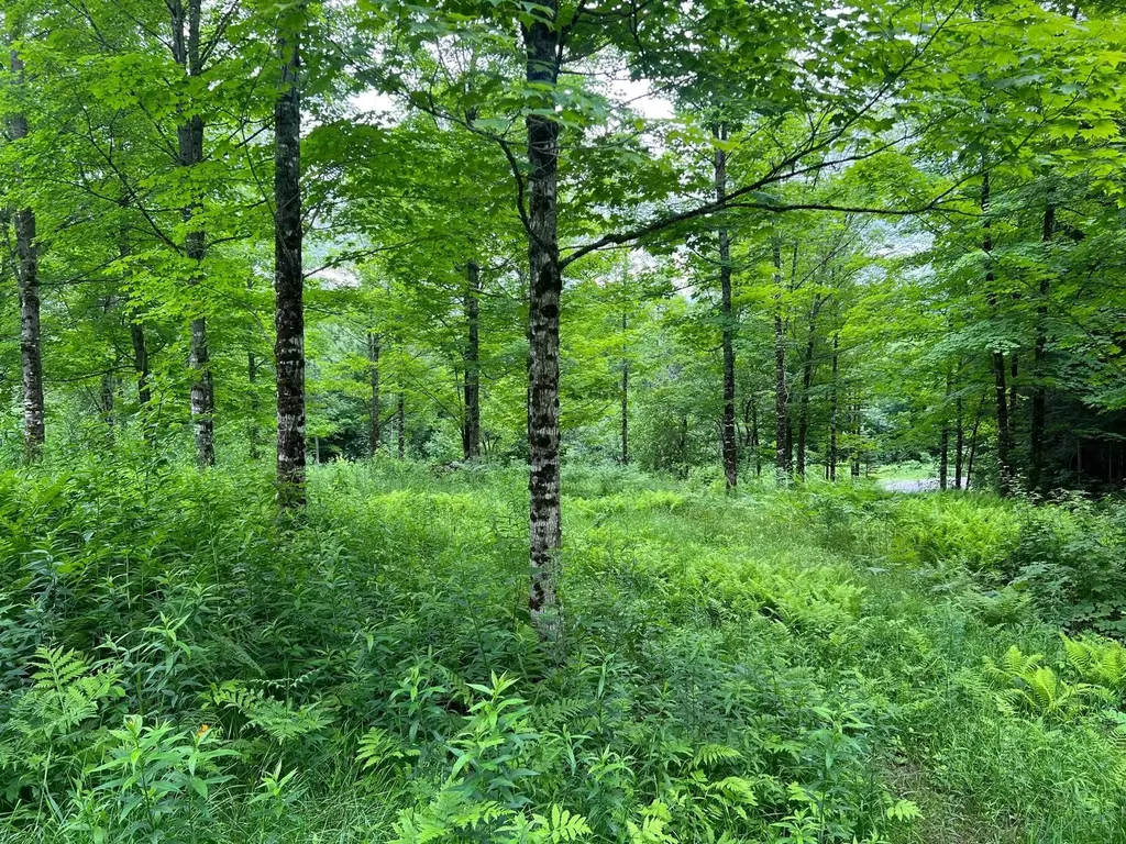 50 Town Farm Road Pittsburg NH 03592