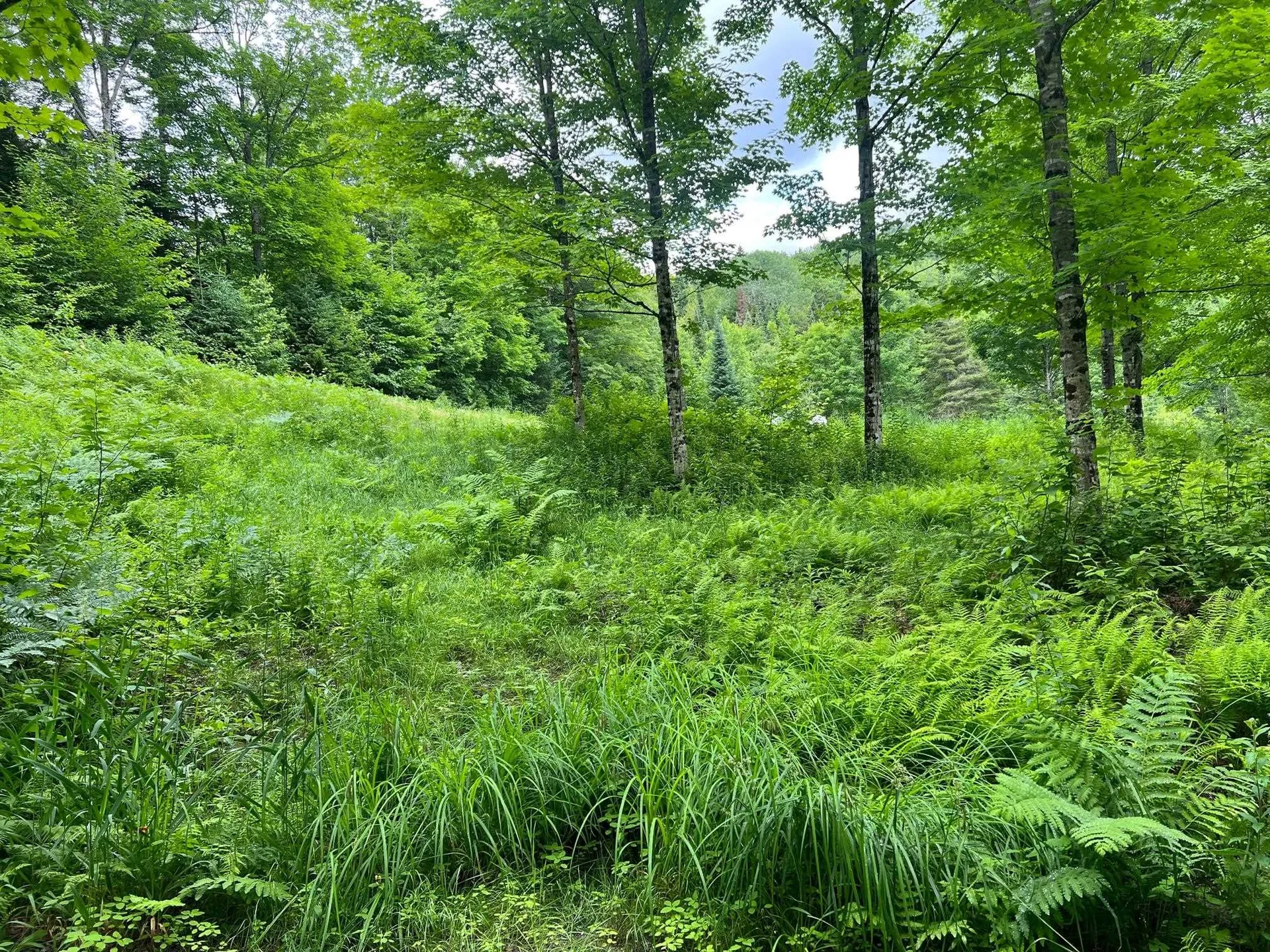 50 Town Farm Road Pittsburg NH 03592