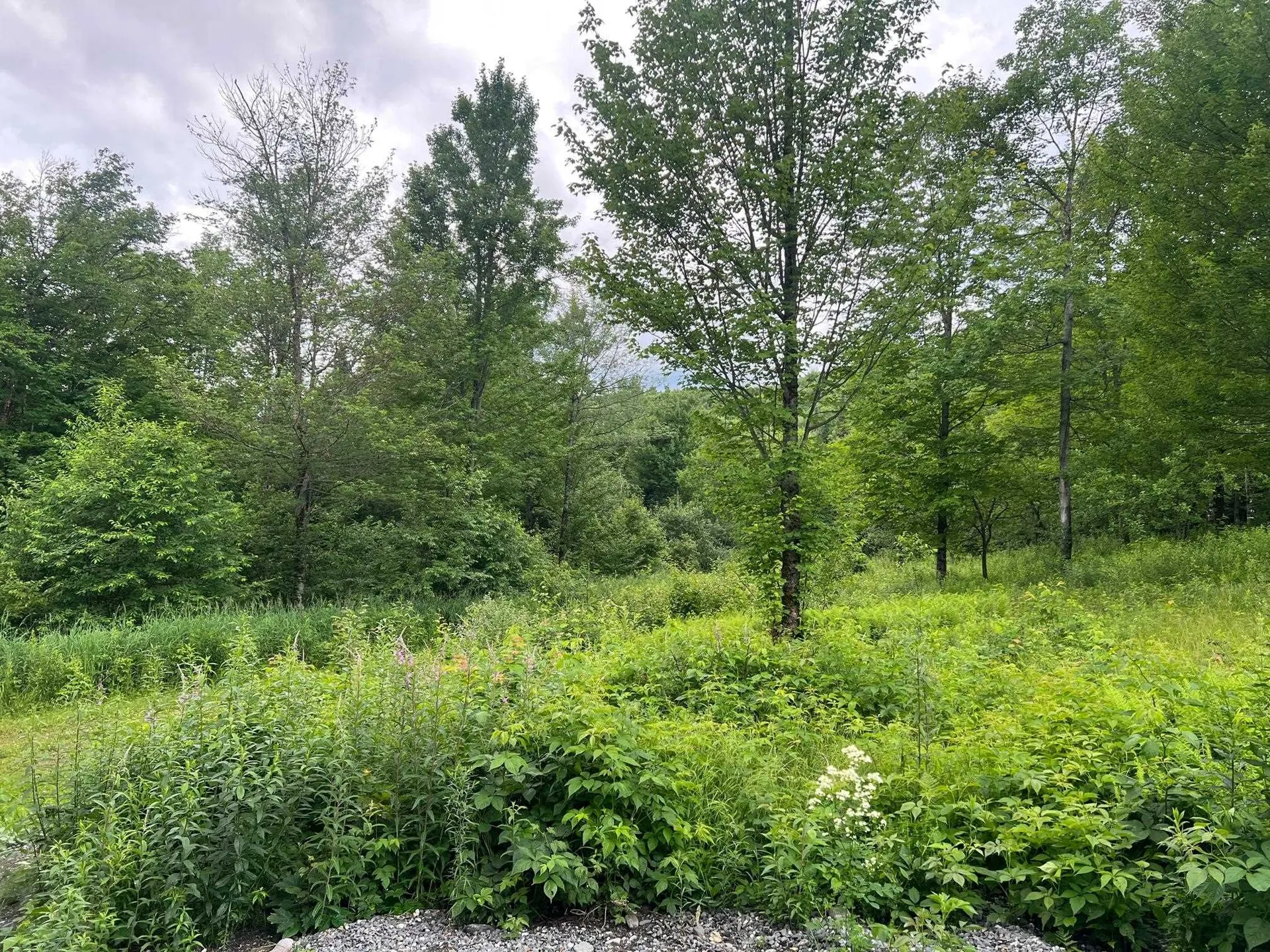 50 Town Farm Road Pittsburg NH 03592