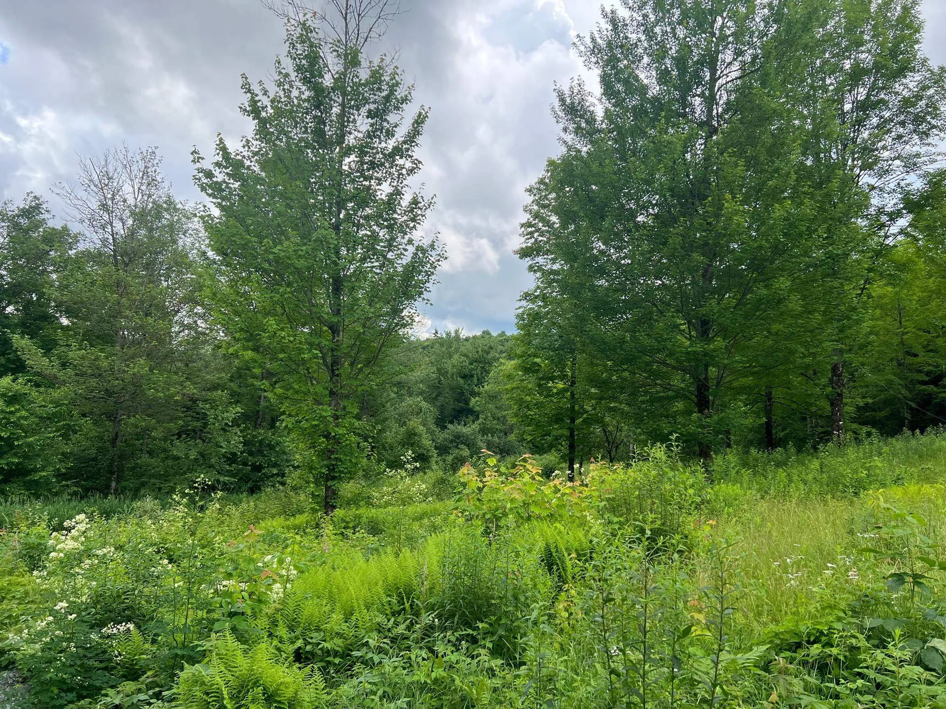 50 Town Farm Road Pittsburg NH 03592