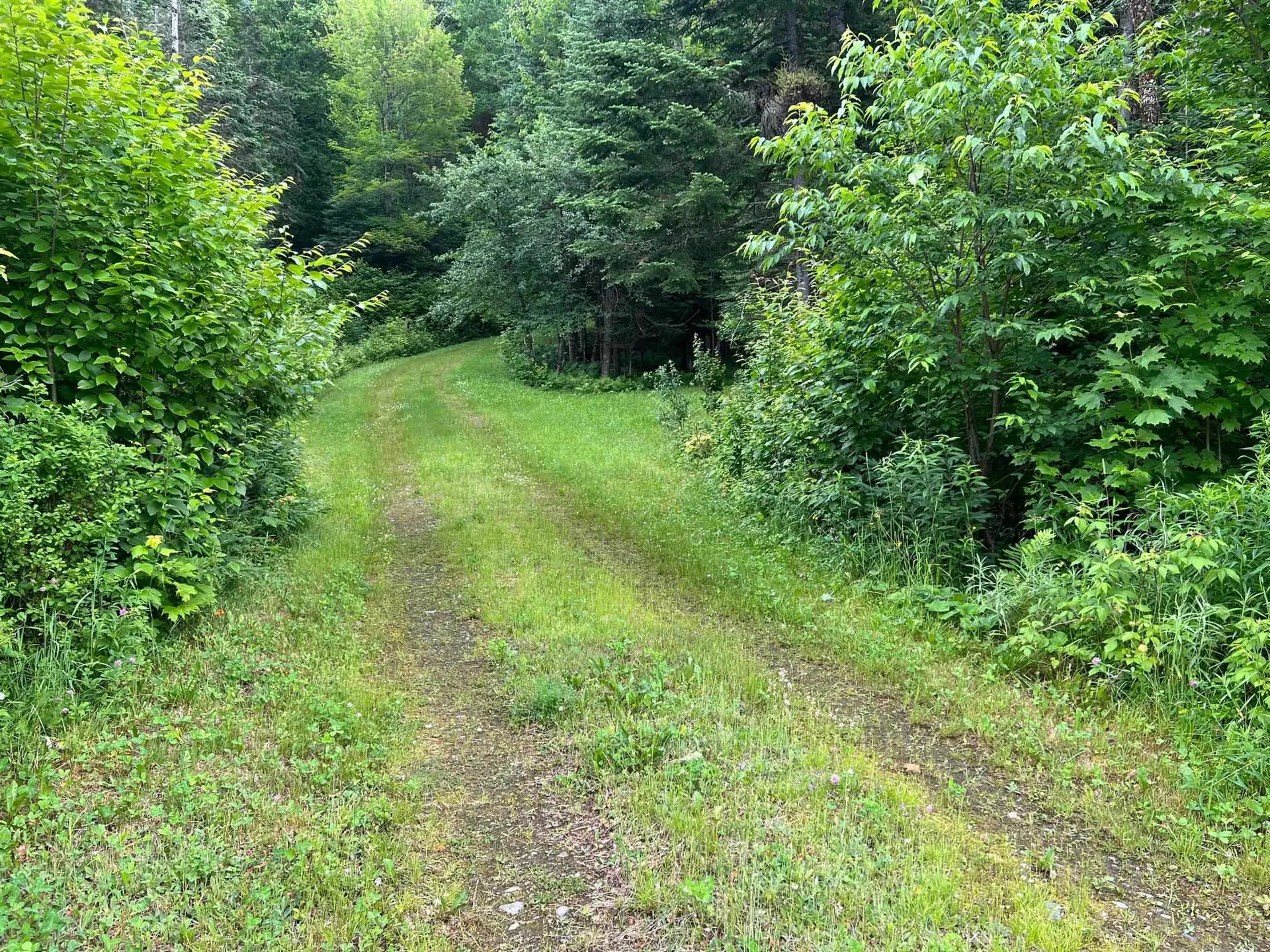 50 Town Farm Road Pittsburg NH 03592