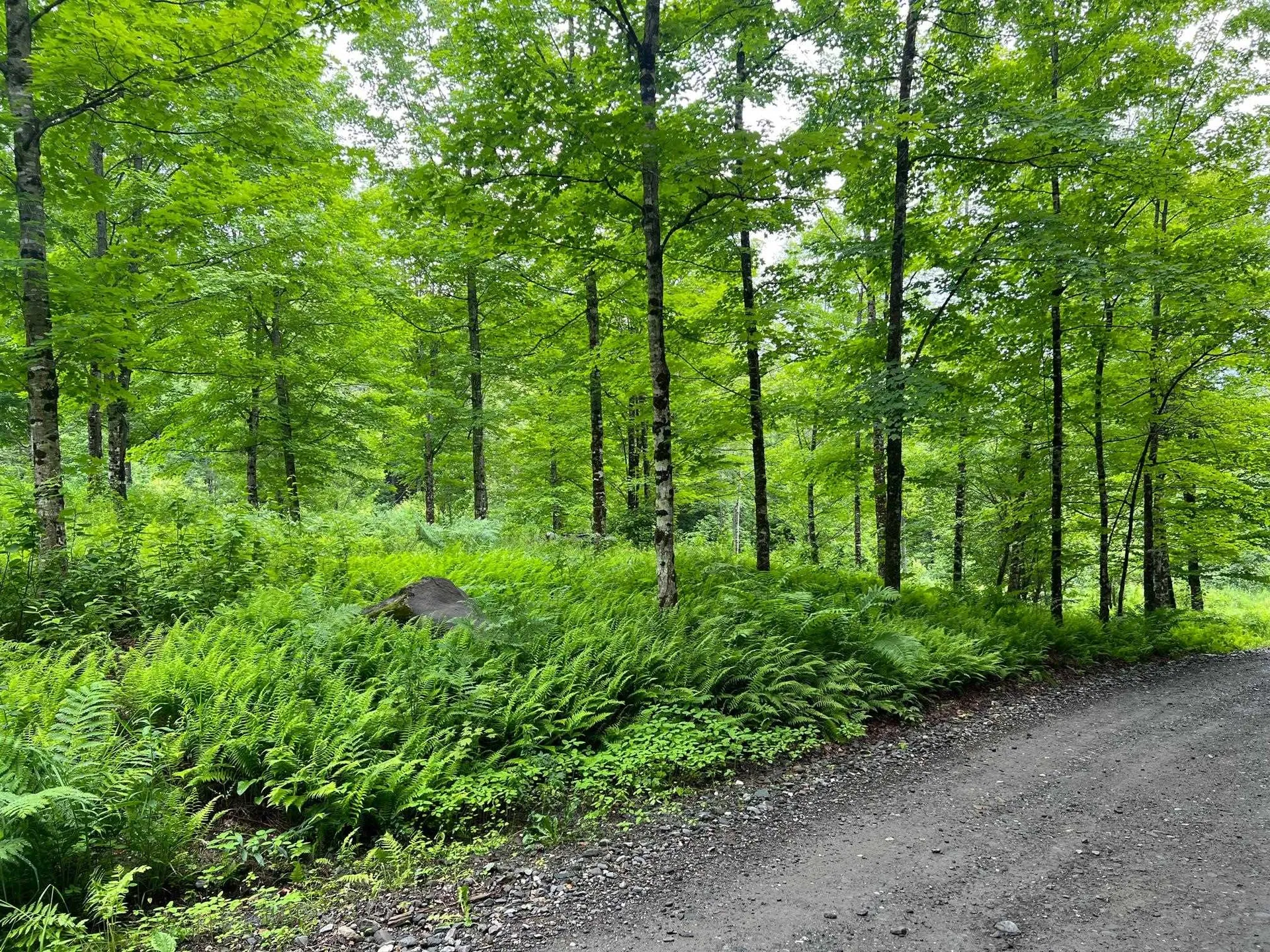 50 Town Farm Road Pittsburg NH 03592