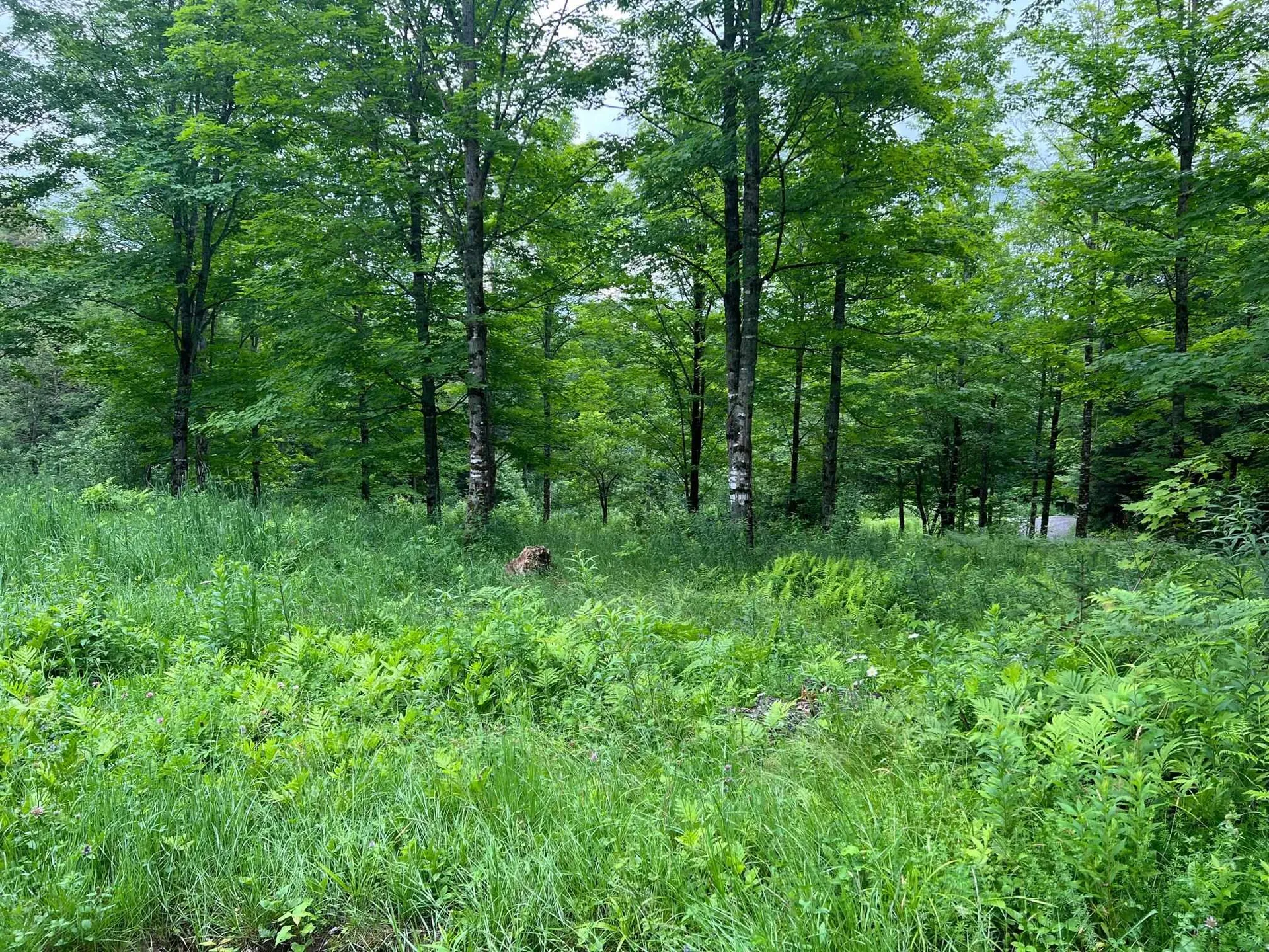 50 Town Farm Road Pittsburg NH 03592