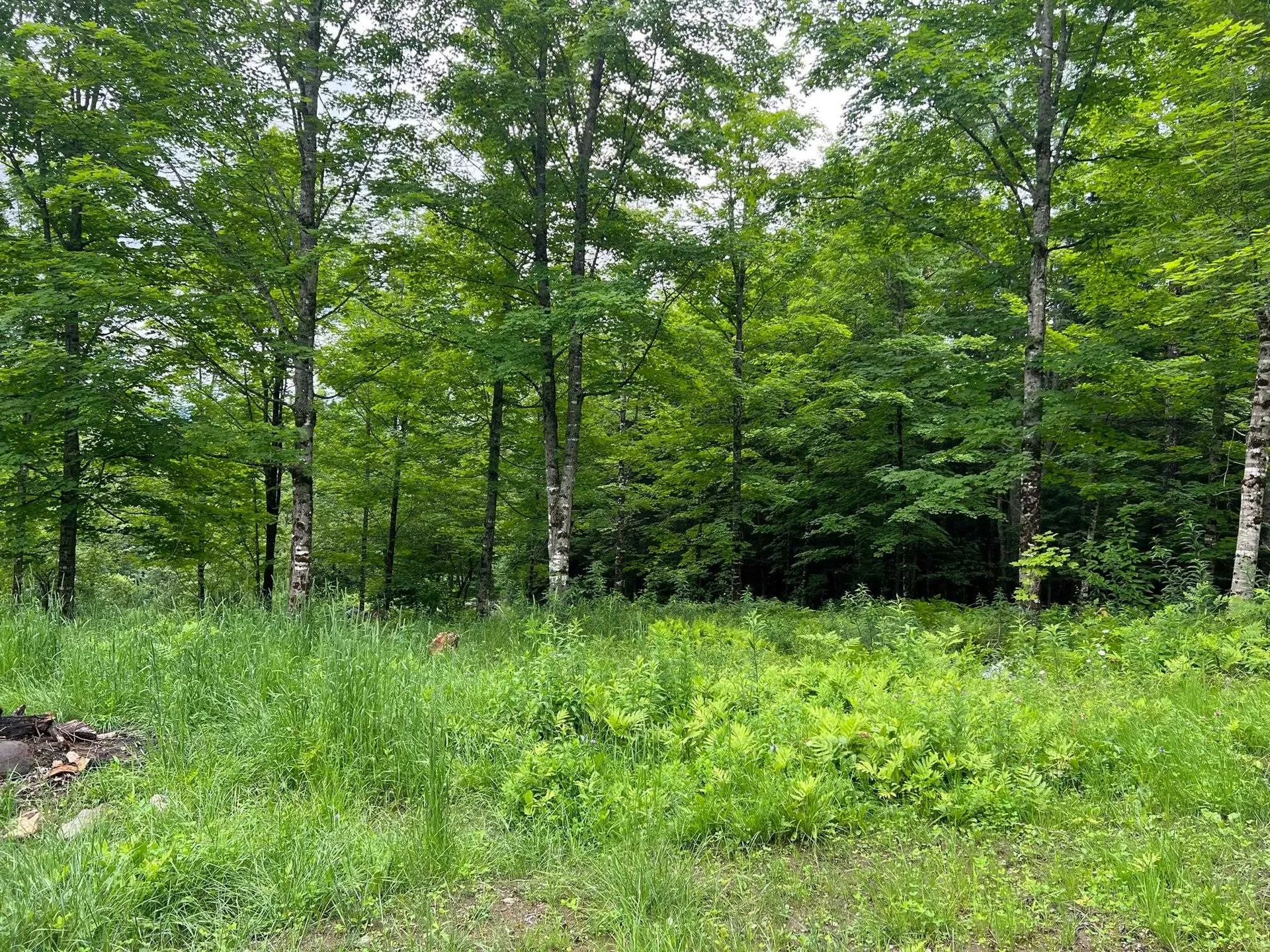 50 Town Farm Road Pittsburg NH 03592