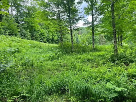 50 Town Farm Road Pittsburg NH 03592