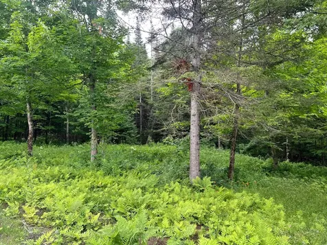 50 Town Farm Road Pittsburg NH 03592