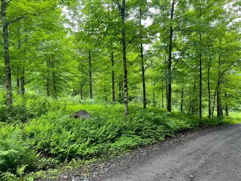 50 Town Farm Road Pittsburg NH 03592