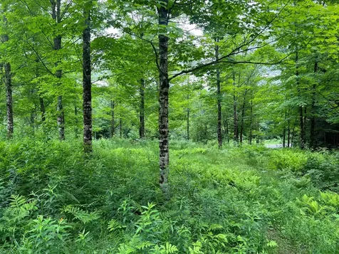 50 Town Farm Road Pittsburg NH 03592