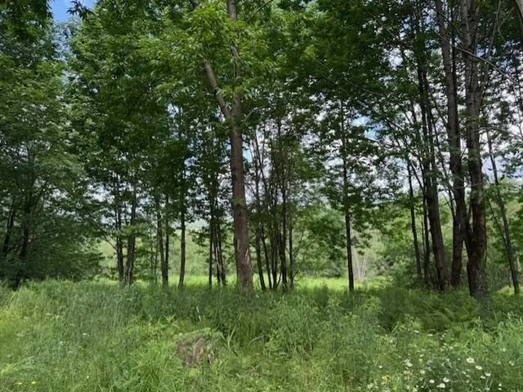1375 North Hill Road Montgomery VT 05471