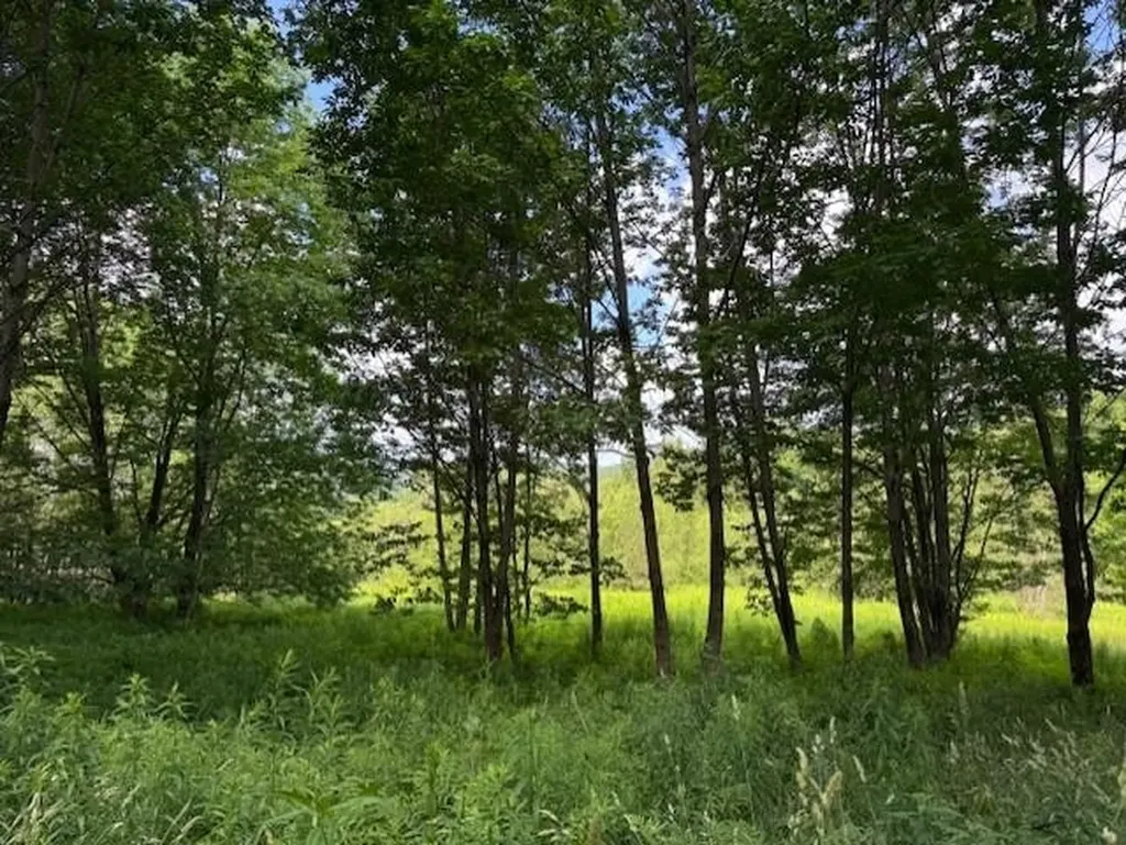 1375 North Hill Road Montgomery VT 05471