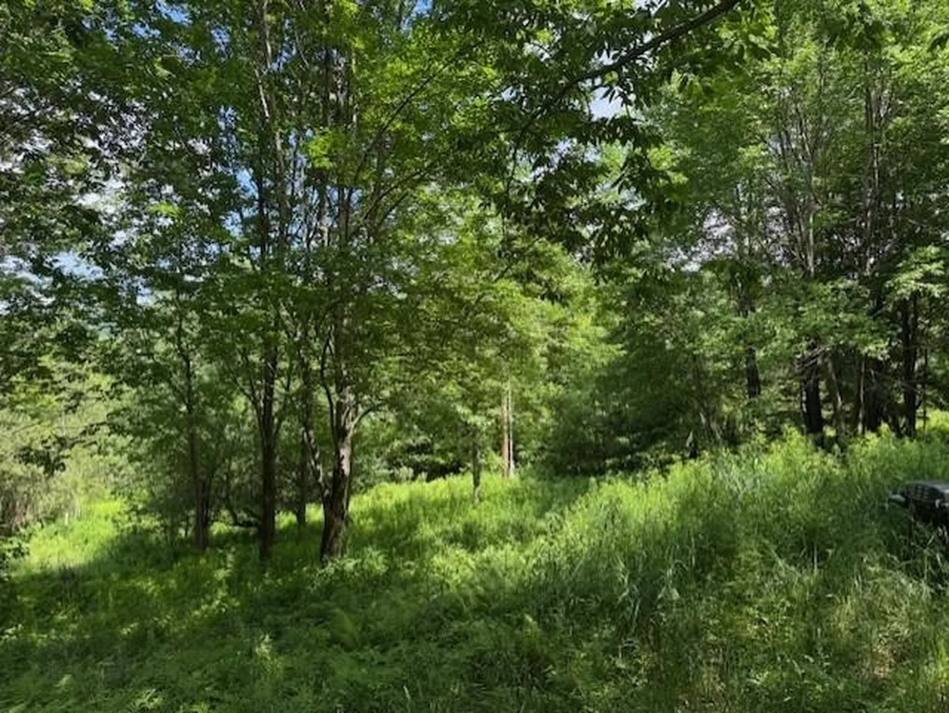 1375 North Hill Road Montgomery VT 05471