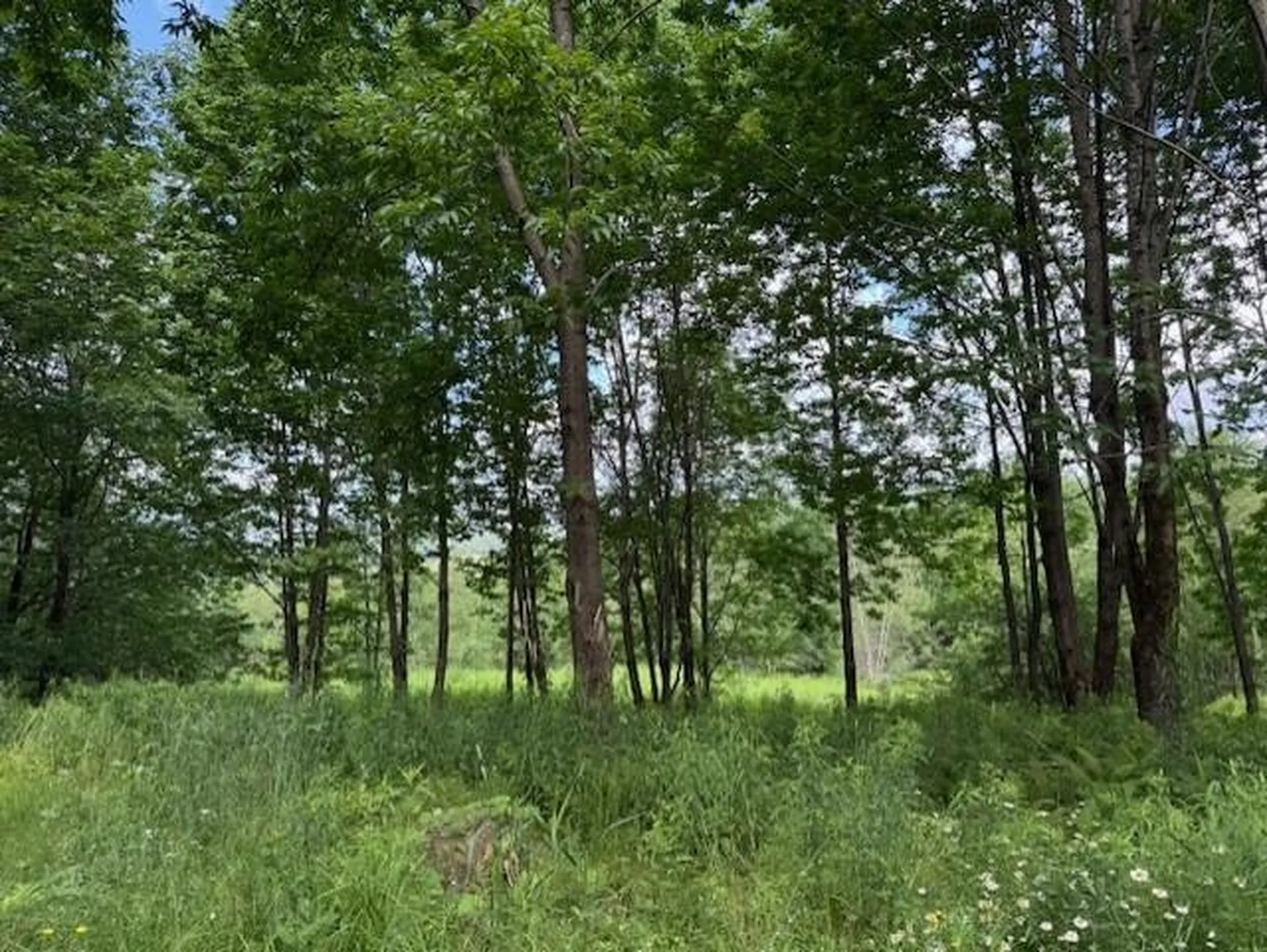 1375 North Hill Road Montgomery VT 05471