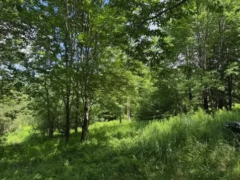 1375 North Hill Road Montgomery VT 05471