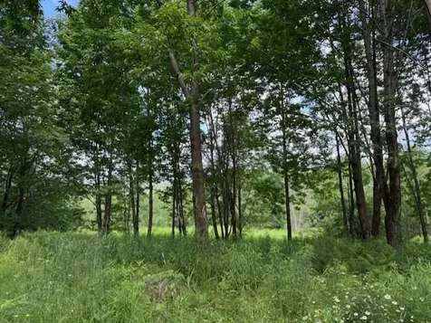 1375 North Hill Road Montgomery VT 05471