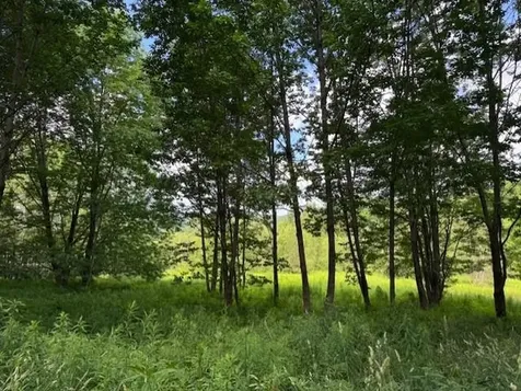 1375 North Hill Road Montgomery VT 05471