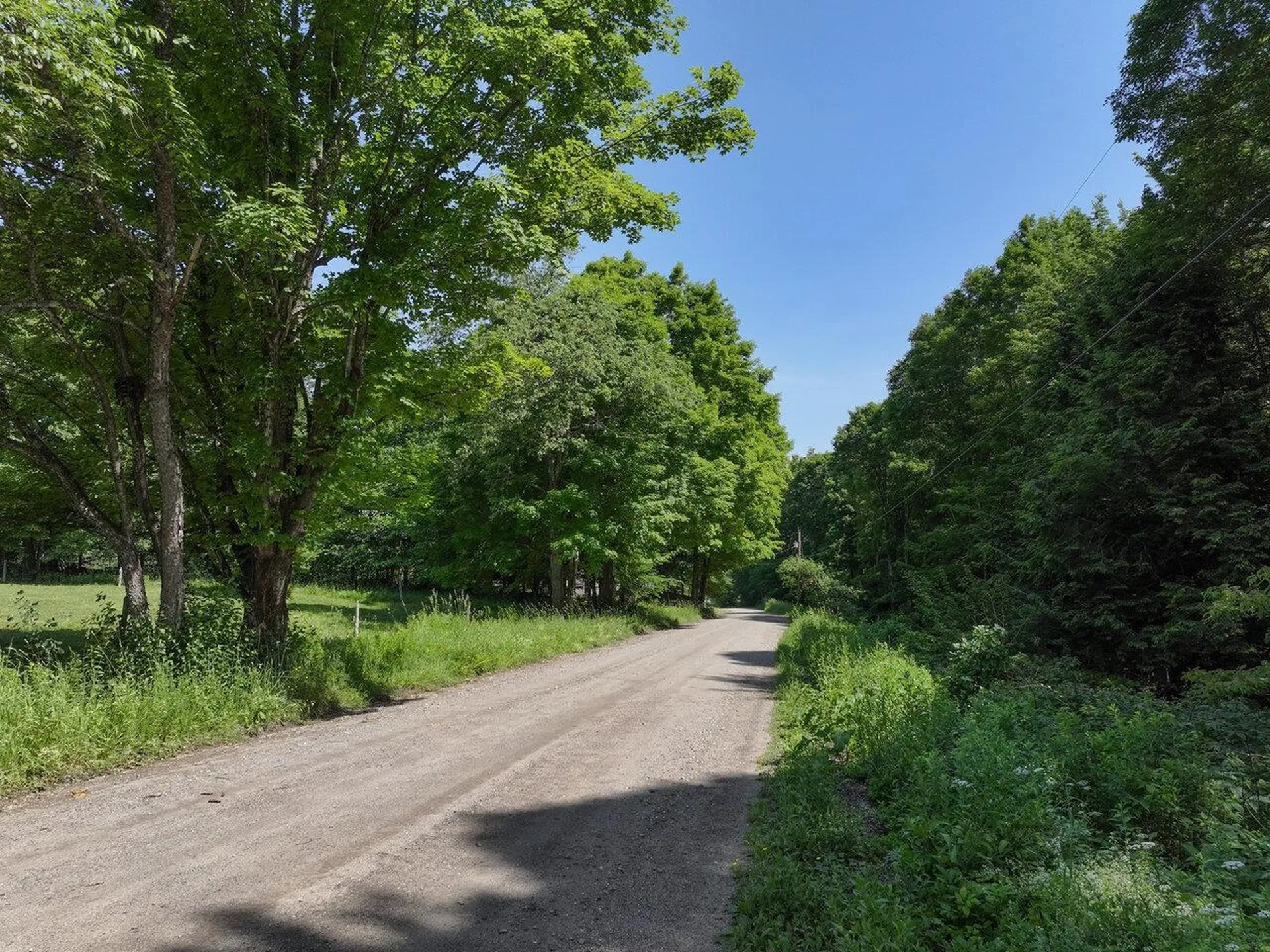 000 Maxfield Road Waterville VT 05492