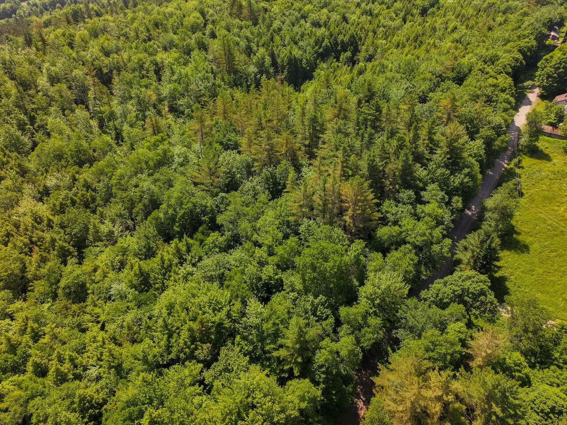 000 Maxfield Road Waterville VT 05492