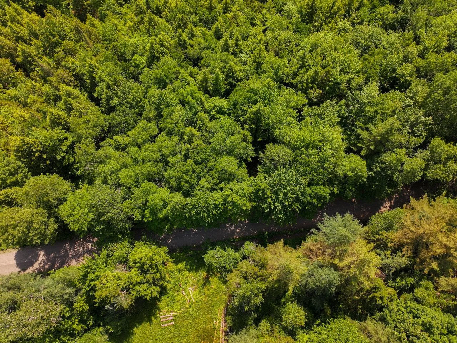 000 Maxfield Road Waterville VT 05492