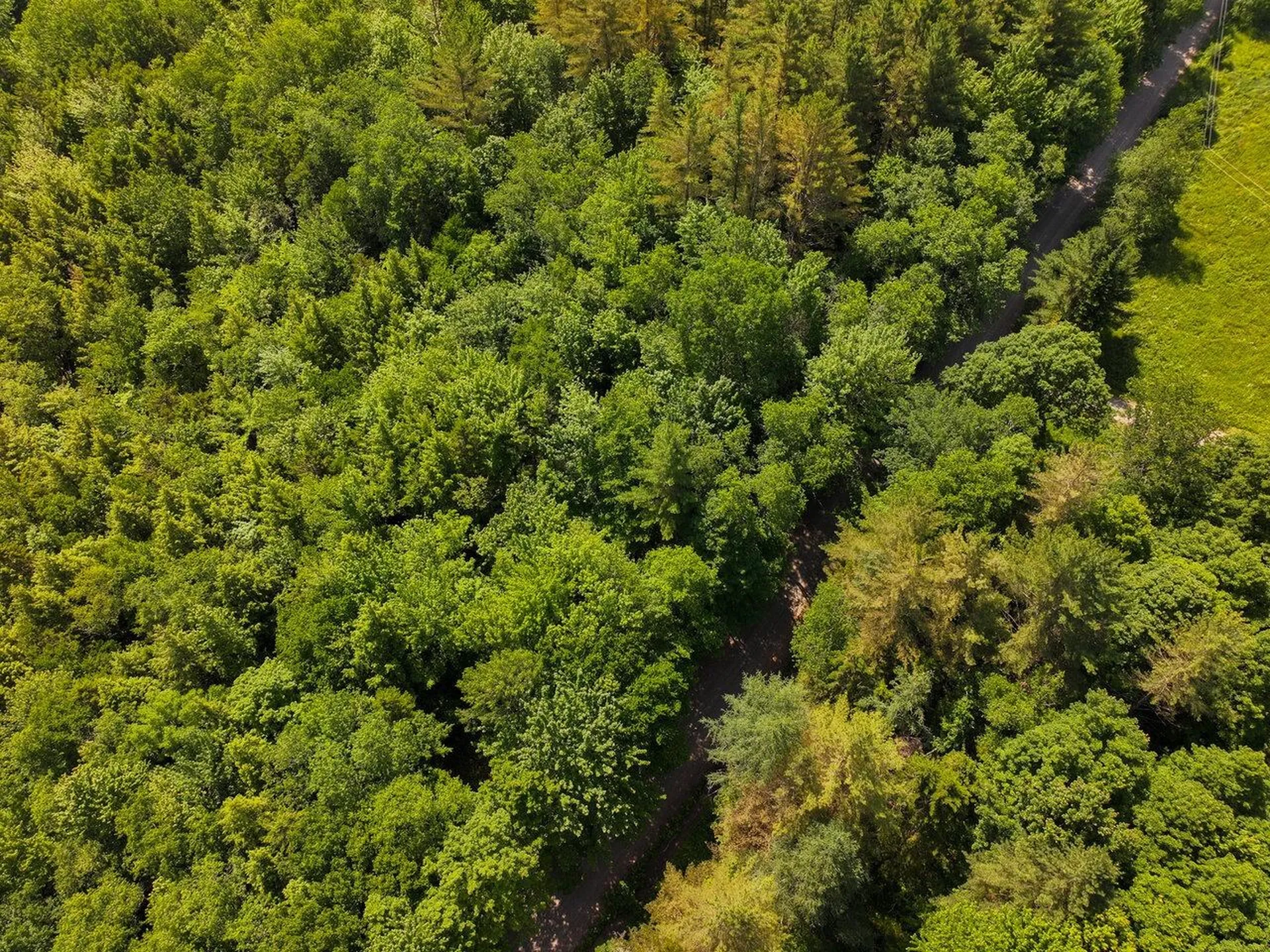 000 Maxfield Road Waterville VT 05492