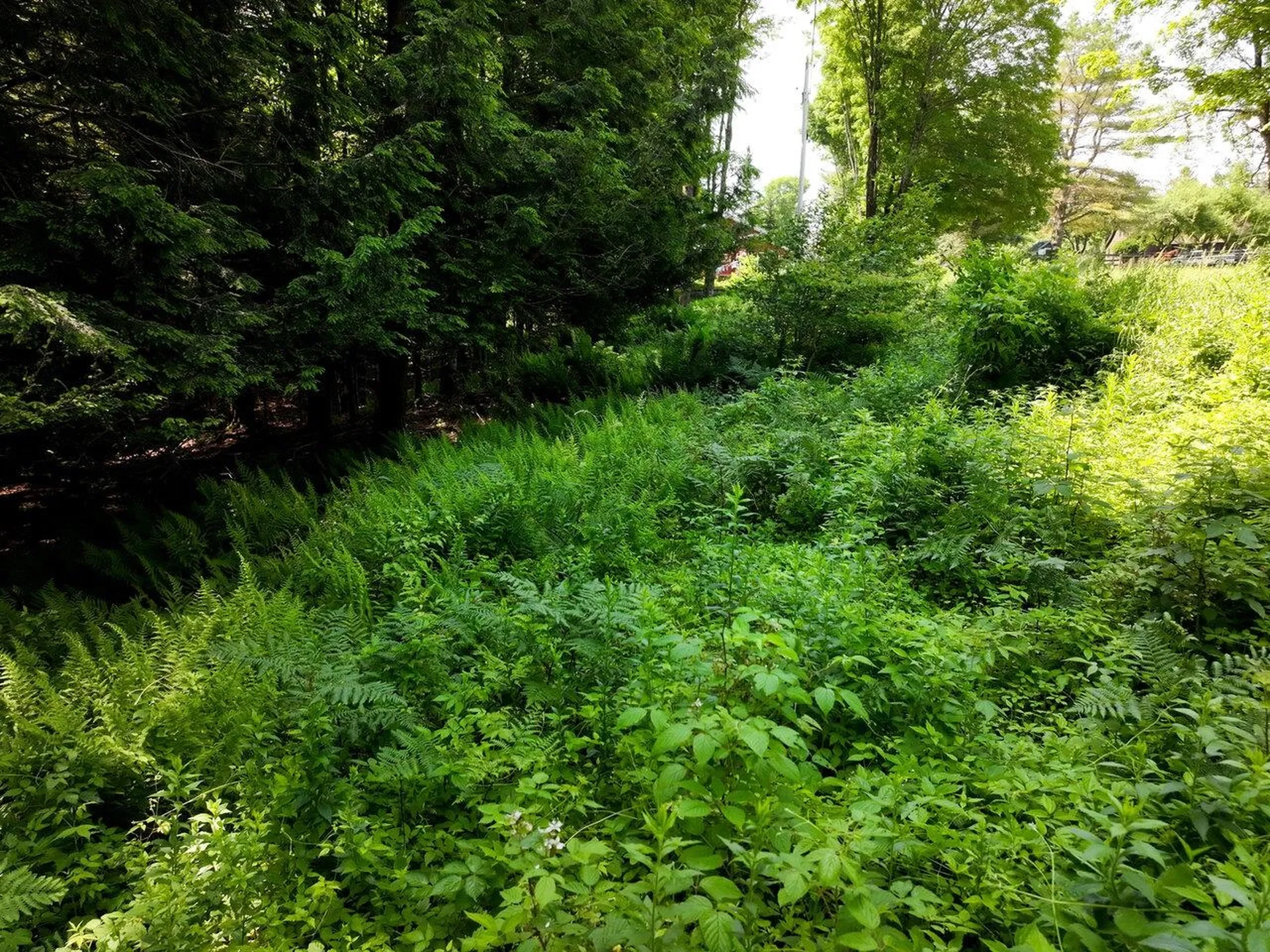 000 Maxfield Road Waterville VT 05492