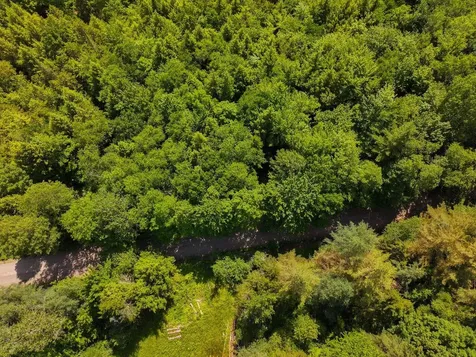 000 Maxfield Road Waterville VT 05492