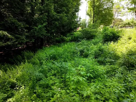 000 Maxfield Road Waterville VT 05492