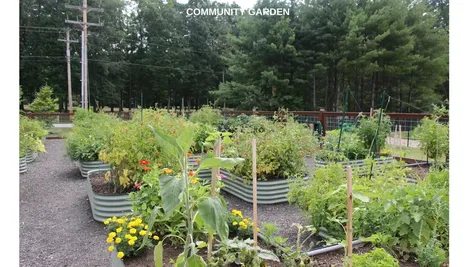 1 Longview Drive Atkinson NH 03811