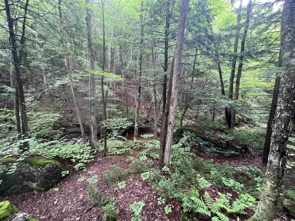 567 & Lot 13-98 Wild Meadow Road Grafton NH 03240