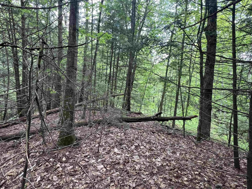 567 & Lot 13-98 Wild Meadow Road Grafton NH 03240