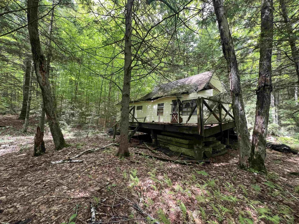 567 & Lot 13-98 Wild Meadow Road Grafton NH 03240