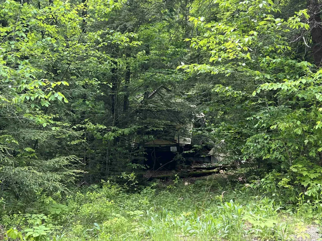 567 & Lot 13-98 Wild Meadow Road Grafton NH 03240