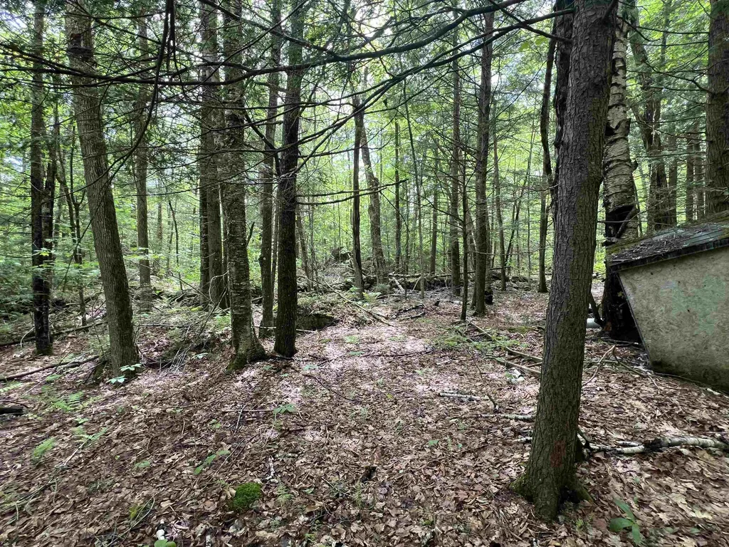 567 & Lot 13-98 Wild Meadow Road Grafton NH 03240