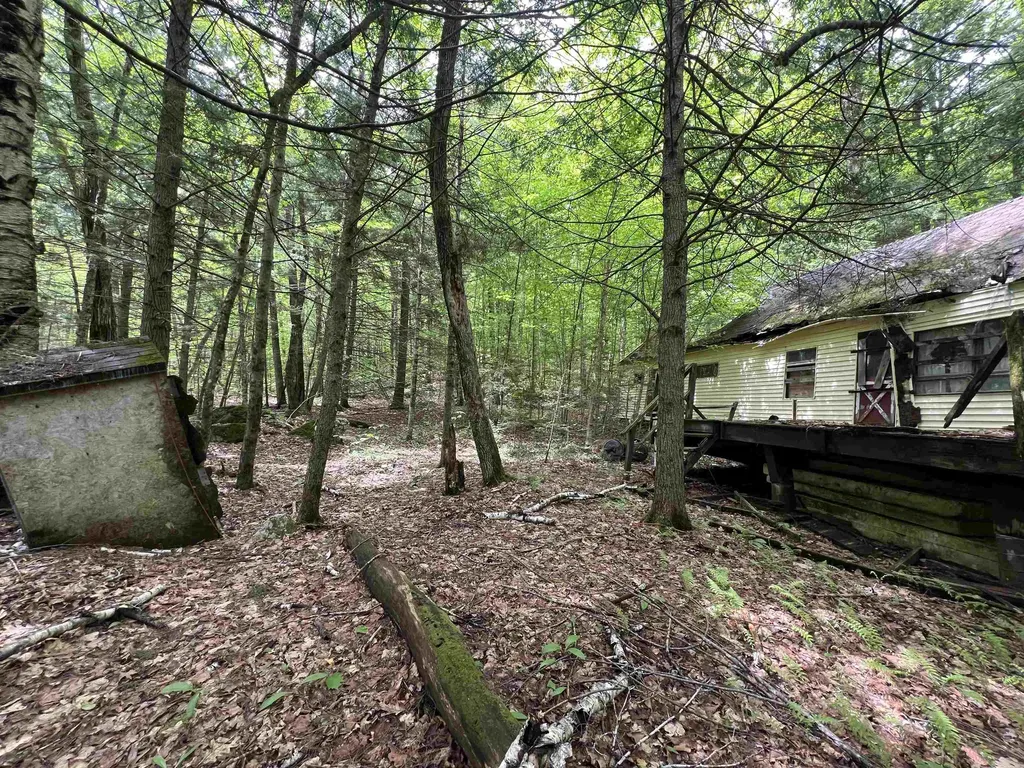 567 & Lot 13-98 Wild Meadow Road Grafton NH 03240