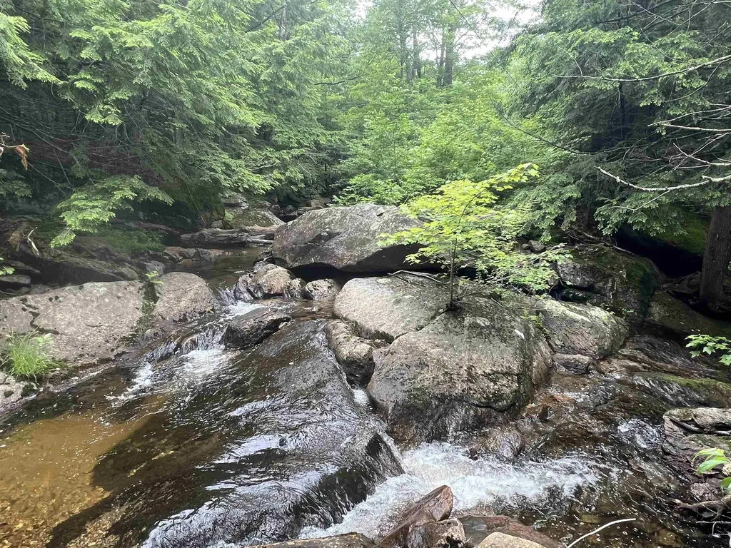 567 & Lot 13-98 Wild Meadow Road Grafton NH 03240