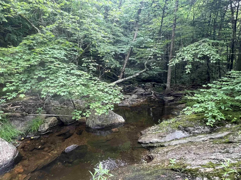 567 & Lot 13-98 Wild Meadow Road Grafton NH 03240