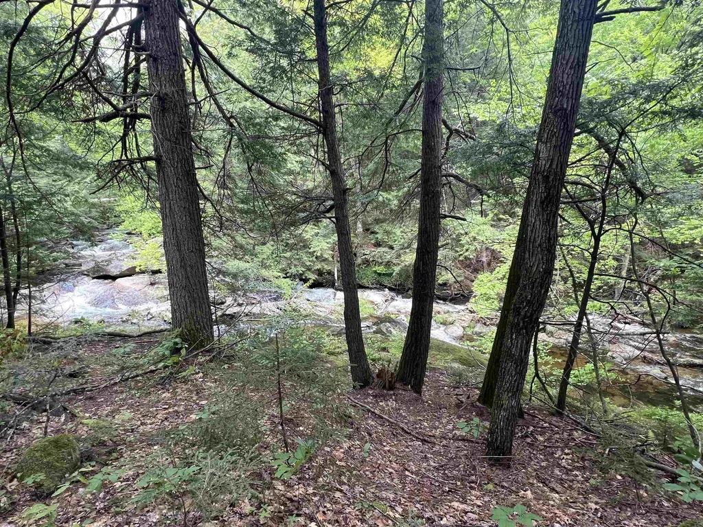 567 & Lot 13-98 Wild Meadow Road Grafton NH 03240