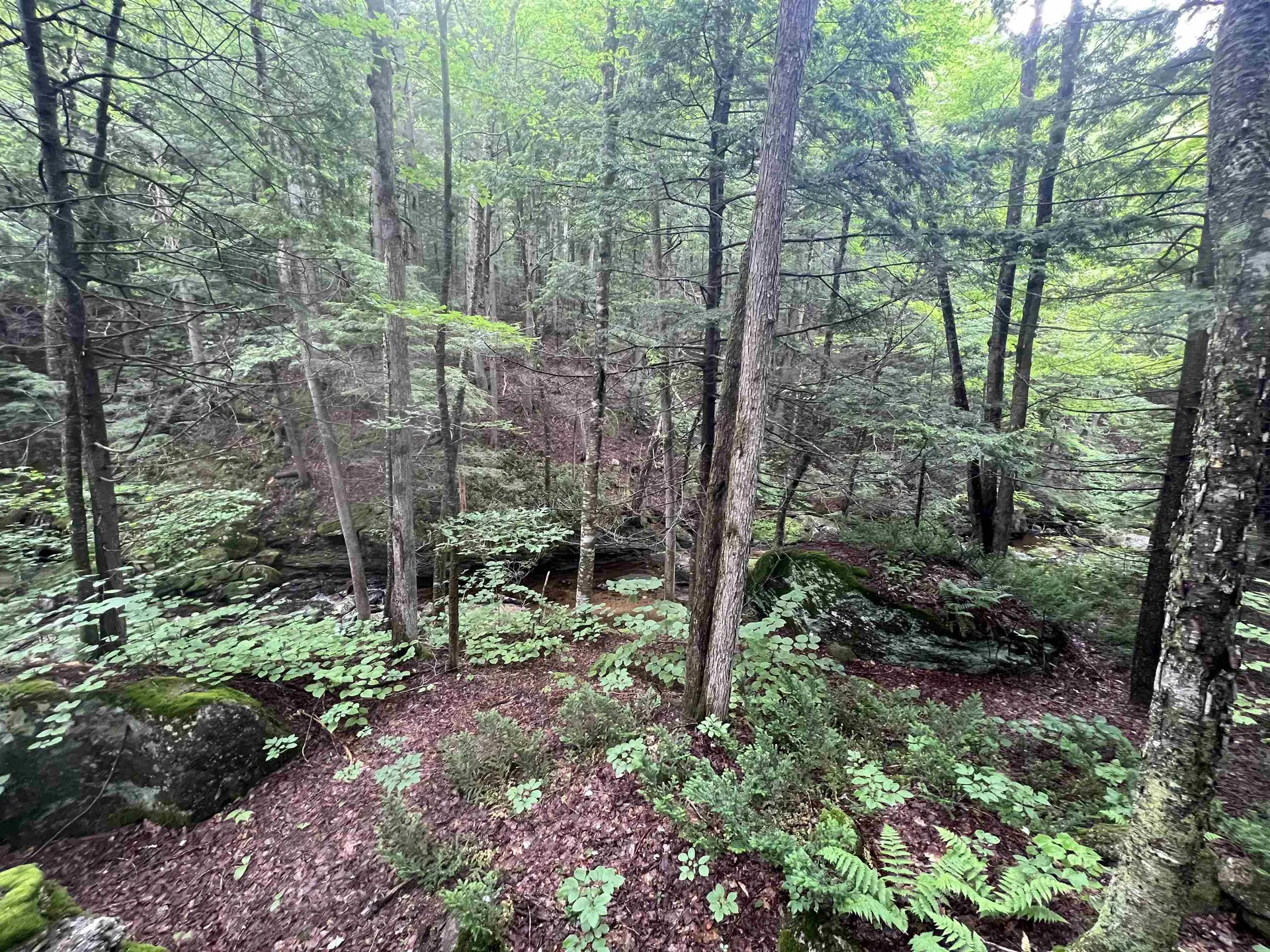 567 & Lot 13-98 Wild Meadow Road Grafton NH 03240