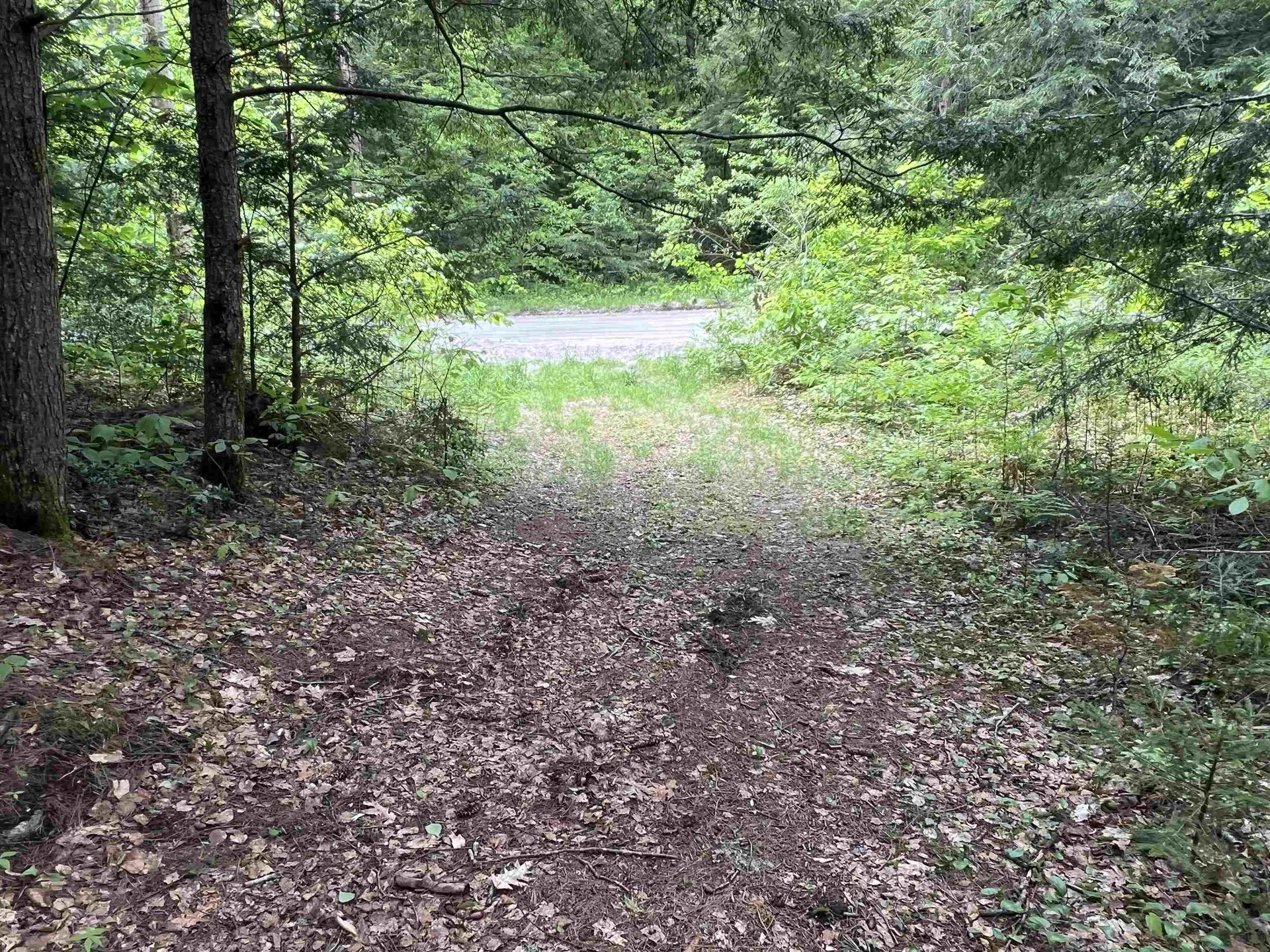 567 & Lot 13-98 Wild Meadow Road Grafton NH 03240