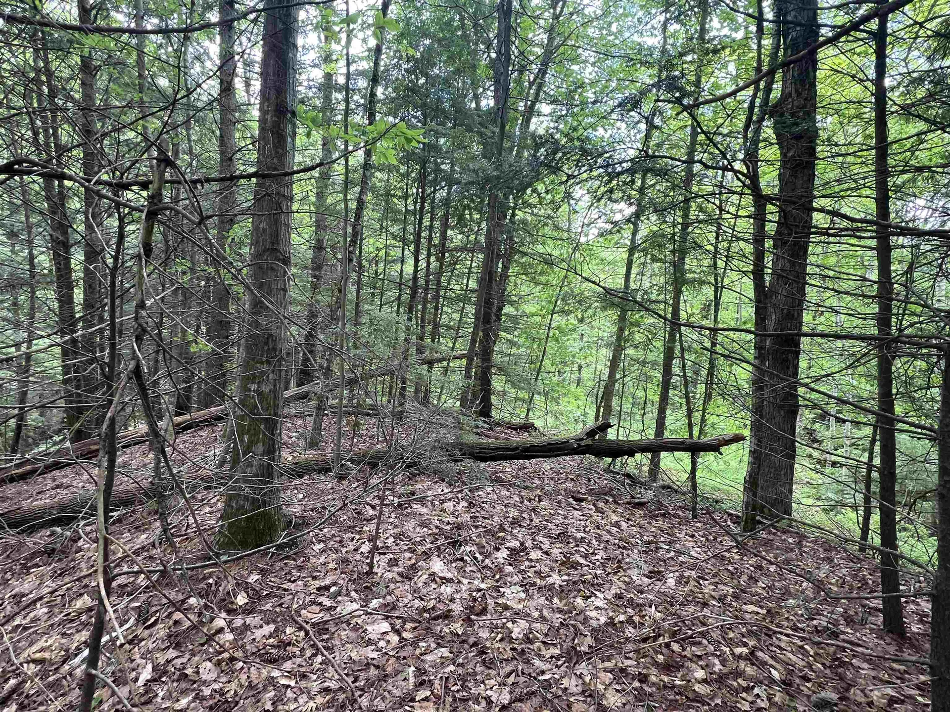 567 & Lot 13-98 Wild Meadow Road Grafton NH 03240