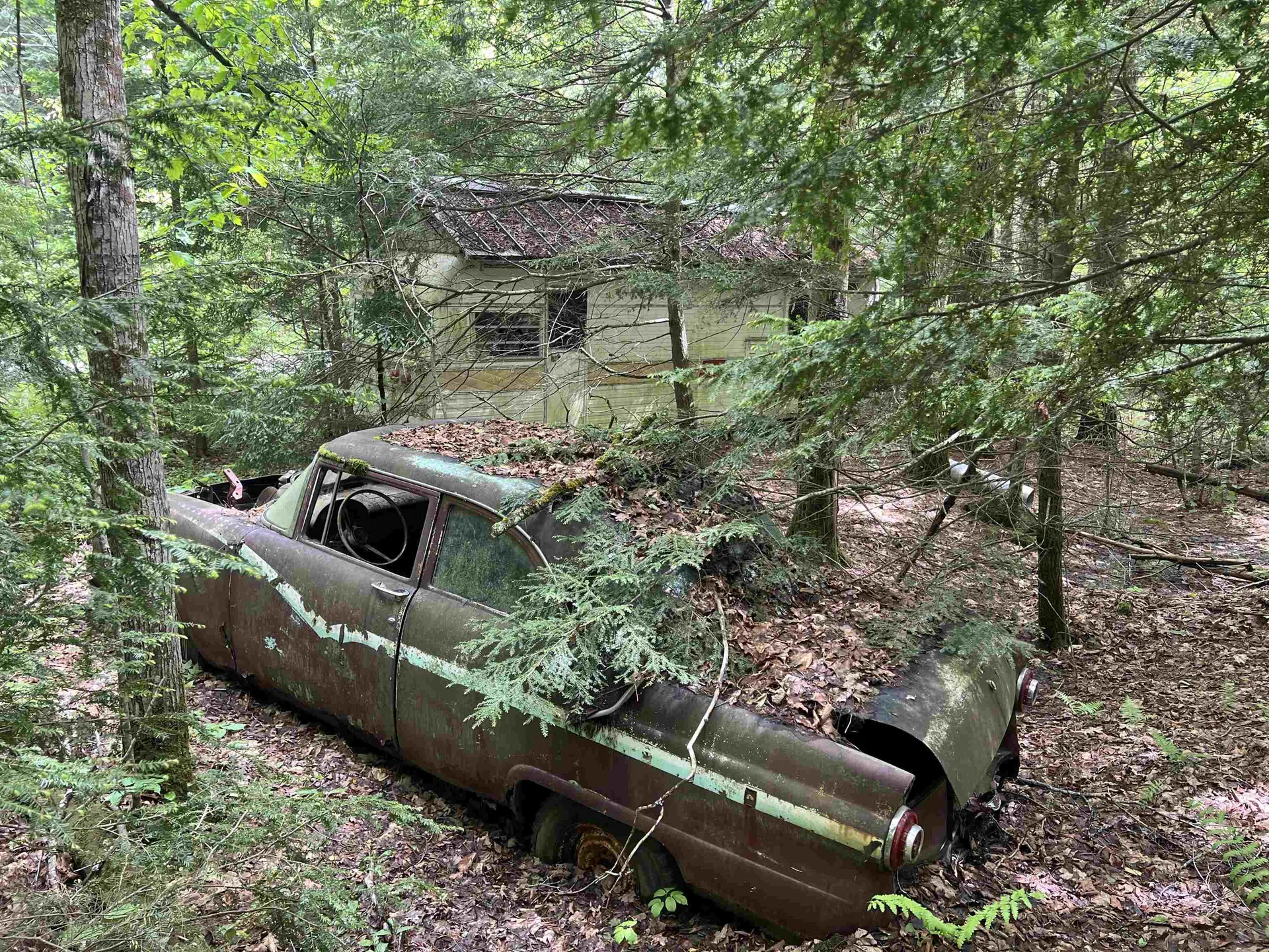 567 & Lot 13-98 Wild Meadow Road Grafton NH 03240