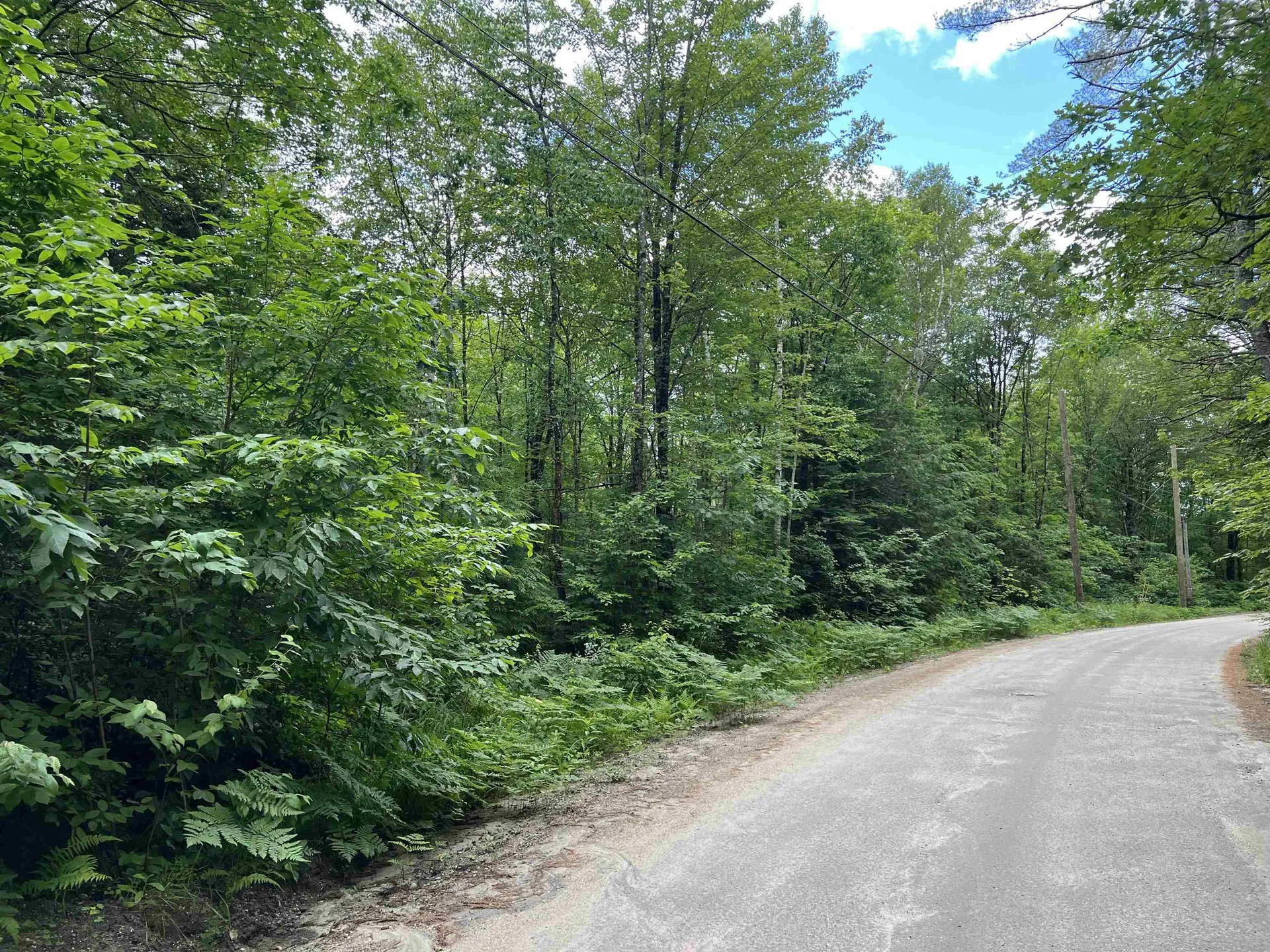 567 & Lot 13-98 Wild Meadow Road Grafton NH 03240