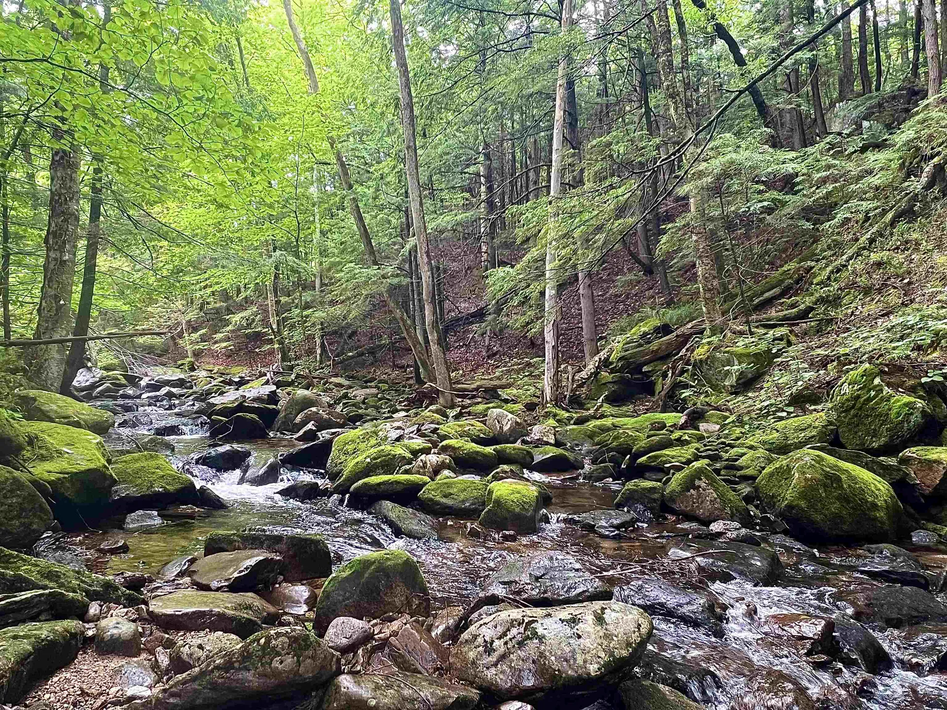 567 & Lot 13-98 Wild Meadow Road Grafton NH 03240