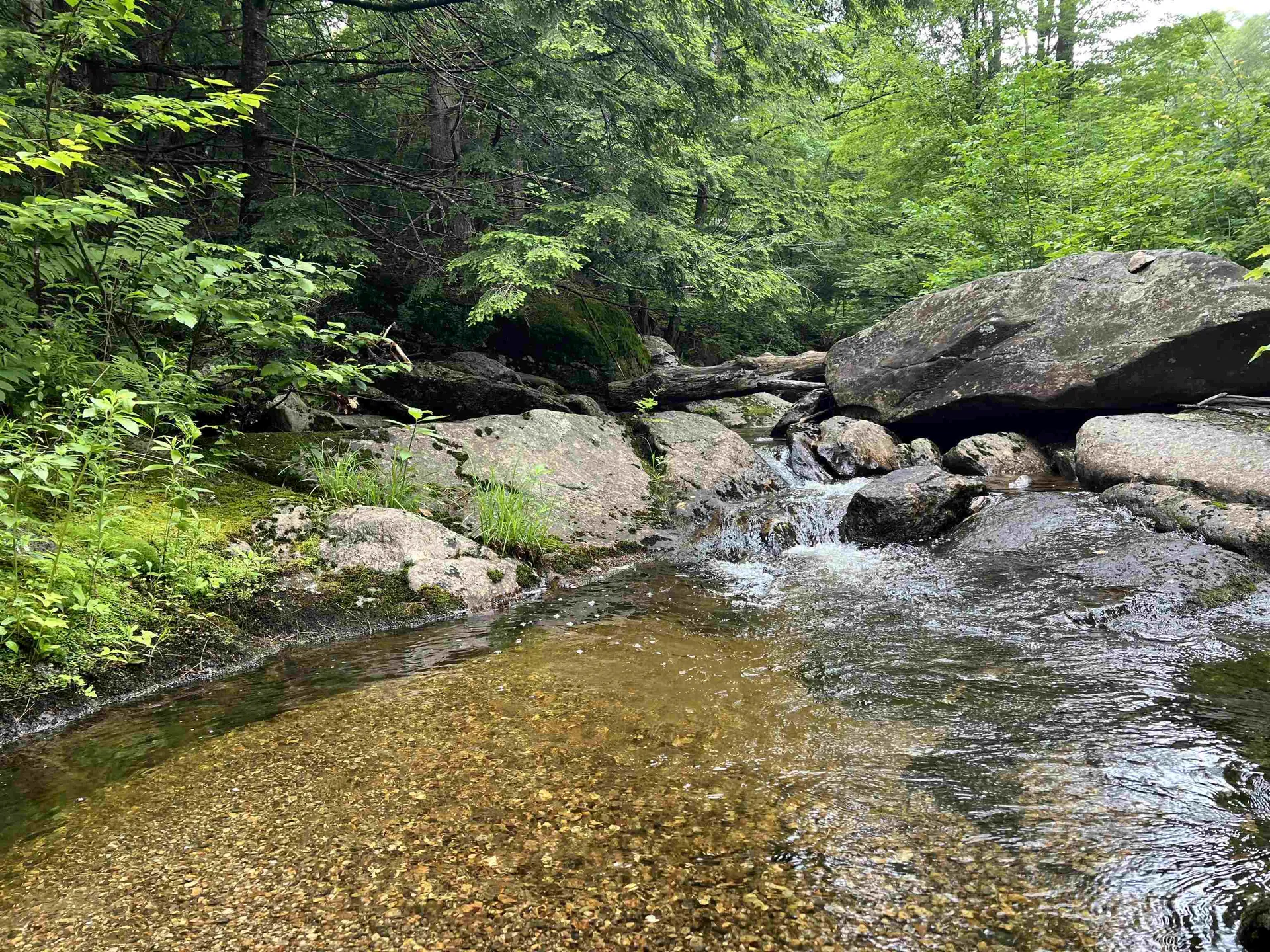 567 & Lot 13-98 Wild Meadow Road Grafton NH 03240