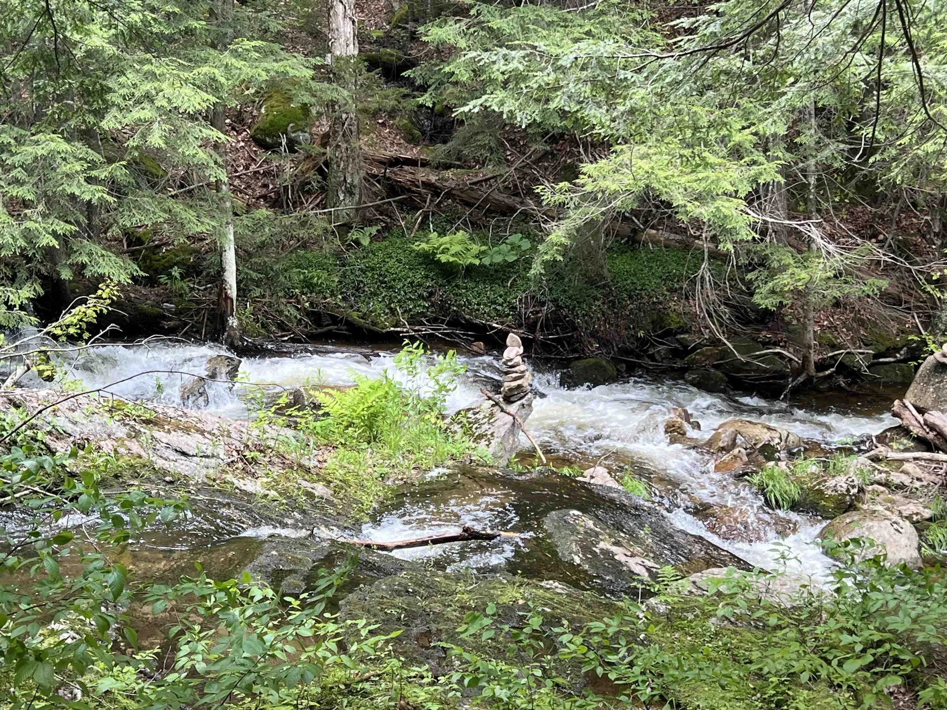 567 & Lot 13-98 Wild Meadow Road Grafton NH 03240