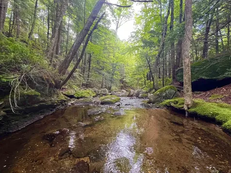 567 & Lot 13-98 Wild Meadow Road Grafton NH 03240