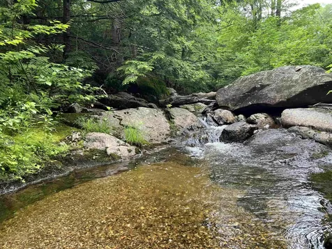 567 & Lot 13-98 Wild Meadow Road Grafton NH 03240