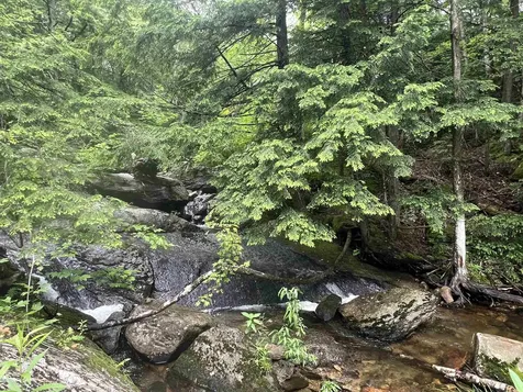 567 & Lot 13-98 Wild Meadow Road Grafton NH 03240